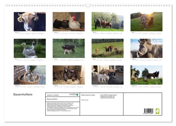 Produktbild: Bauernhoftiere (Wandkalender 2026 DIN A2 quer), CALVENDO Monatskalender