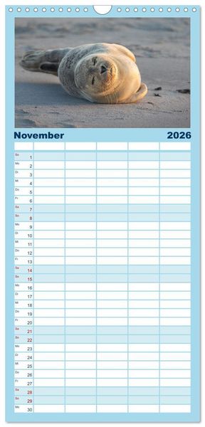 Produktbild: Familienplaner 2026 - Junge Kegelrobben mit 5 Spalten (Wandkalender, 21 x 45 cm) CALVENDO