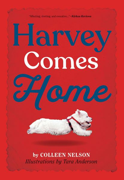 Produktbild: Harvey Comes Home