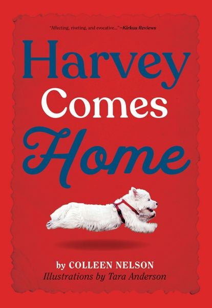 Produktbild: Harvey Comes Home