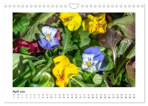 Produktbild: Wochenmarkt - Genussvoll Einkaufen (Wandkalender 2026 DIN A4 quer), CALVENDO Monatskalender