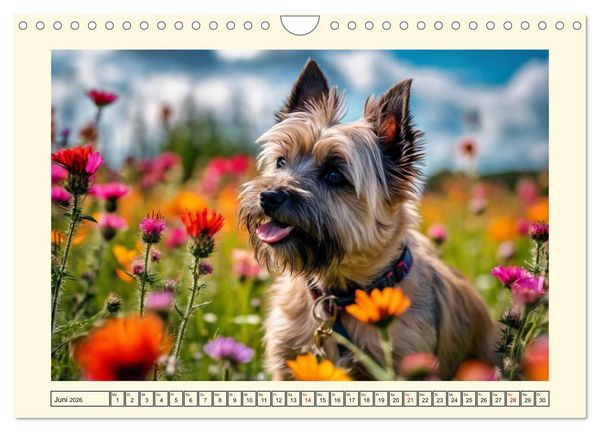Produktbild: Winzlinge der Hundewelt (Wandkalender 2026 DIN A4 quer), CALVENDO Monatskalender