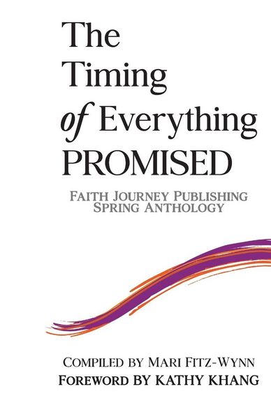 Produktbild: The Timing of Everything PROMISED