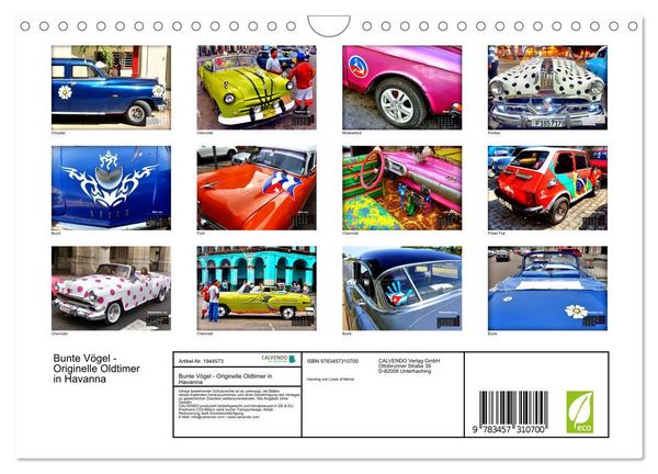 Produktbild: Bunte V&ouml;gel - Originelle Oldtimer in Havanna (Wandkalender 2026 DIN A4 quer), CALVENDO Monatskalender