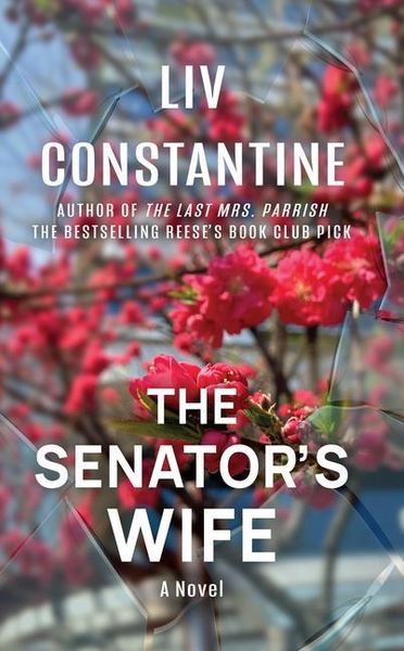 Produktbild: The Senator's Wife