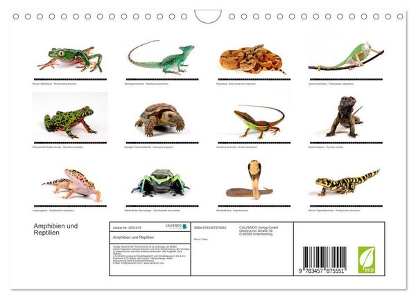Produktbild: Amphibien und Reptilien (Wandkalender 2026 DIN A4 quer), CALVENDO Monatskalender