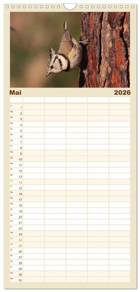 Produktbild: Familienplaner 2026 - V&ouml;gel ganz nah mit 5 Spalten (Wandkalender, 21 x 45 cm) CALVENDO
