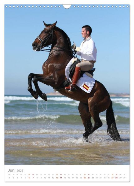 Produktbild: Caballos - Die sch&ouml;nen Pferde Spaniens (Wandkalender 2026 DIN A3 hoch), CALVENDO Monatskalender