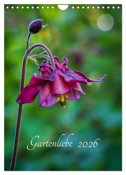 Produktbild: Gartenliebe (Wandkalender 2026 DIN A4 hoch), CALVENDO Monatskalender