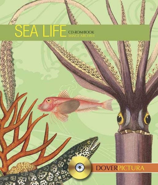 Produktbild: Sea Life