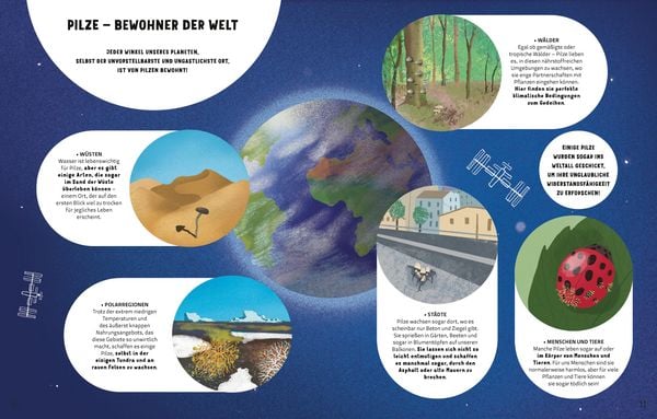 Produktbild: Die Geheimnisse der Pilze