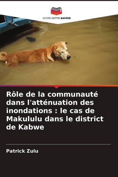 Produktbild: R&ocirc;le de la communaut&eacute; dans l'att&eacute;nuation des inondations : le cas de Makululu dans le district de Kabwe