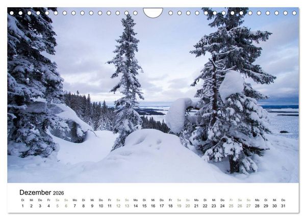 Produktbild: Einblick-Natur: Finnland nat&uuml;rlich (Wandkalender 2026 DIN A4 quer), CALVENDO Monatskalender