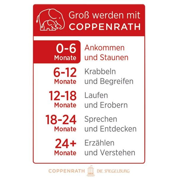 Produktbild: Babys Kontrast-Zauber-Badebuch