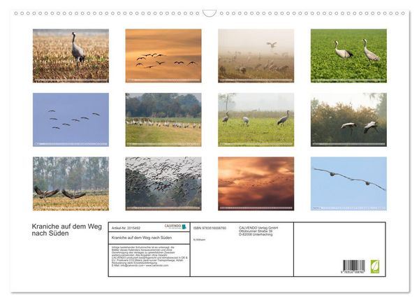 Produktbild: Kraniche auf dem Weg nach S&uuml;den (Wandkalender 2026 DIN A2 quer), CALVENDO Monatskalender