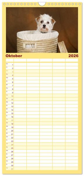 Produktbild: Familienplaner 2026 - Bunte Pfoten mit 5 Spalten (Wandkalender, 21 x 45 cm) CALVENDO