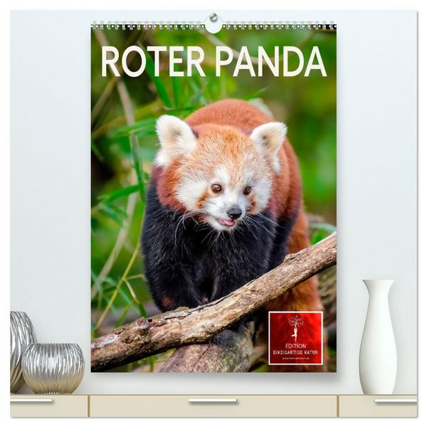 Produktbild: Roter Panda (hochwertiger Premium Wandkalender 2026 DIN A2 hoch), Kunstdruck in Hochglanz