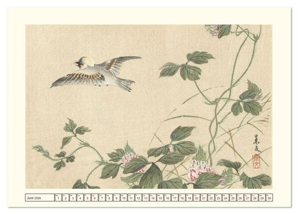 Produktbild: Bl&uuml;te und Feder (Wandkalender 2026 DIN A2 quer), CALVENDO Monatskalender