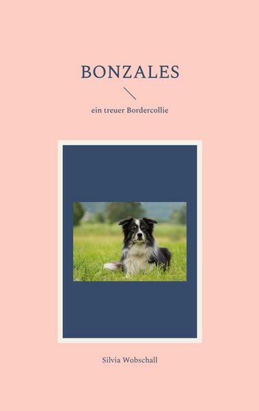 Produktbild: Bonzales