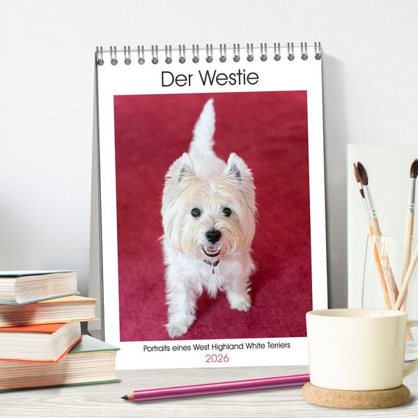 Produktbild: Der Westie - Portrait eines West Highland White Terriers (Tischkalender 2026 DIN A5 hoch), CALVENDO Monatskalender