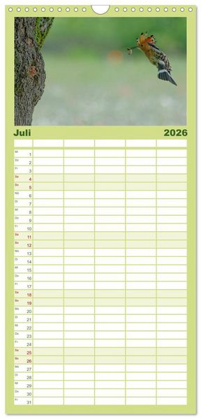 Produktbild: Familienplaner 2026 - Wiedehopf mit 5 Spalten (Wandkalender, 21 x 45 cm) CALVENDO