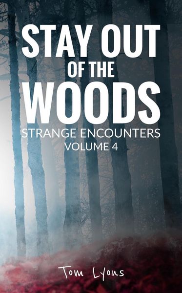 Produktbild: Stay Out of the Woods: Strange Encounters, Volume 4