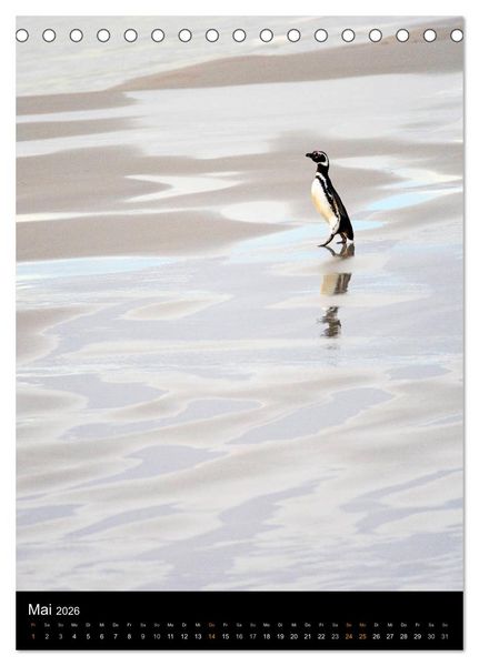Produktbild: Hallo Pinguin (Tischkalender 2026 DIN A5 hoch), CALVENDO Monatskalender