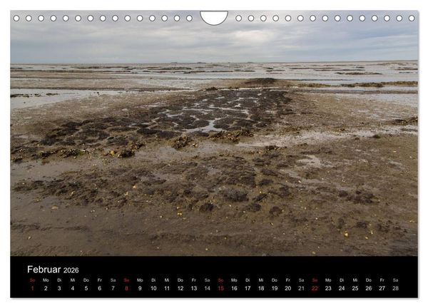 Produktbild: Pellworm 2026 (Wandkalender 2026 DIN A4 quer), CALVENDO Monatskalender