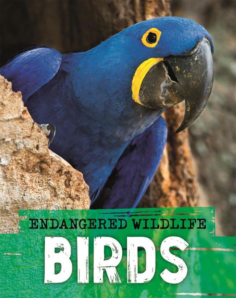 Produktbild: Ganeri, A: Endangered Wildlife: Rescuing Birds