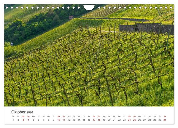 Produktbild: Franken - Malerische Orte und Landschaften (Wandkalender 2026 DIN A4 quer), CALVENDO Monatskalender