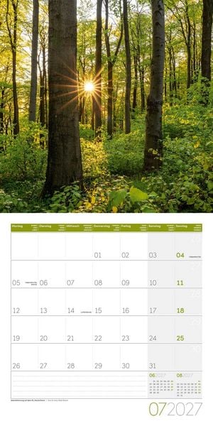 Produktbild: Zauber des Waldes Kalender 2027 - 30x30 - Art12