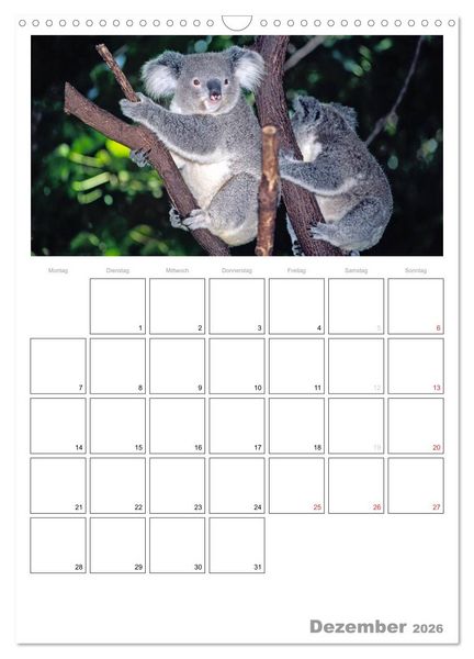 Produktbild: Australien - Terminplaner (Wandkalender 2026 DIN A3 hoch), CALVENDO Monatskalender