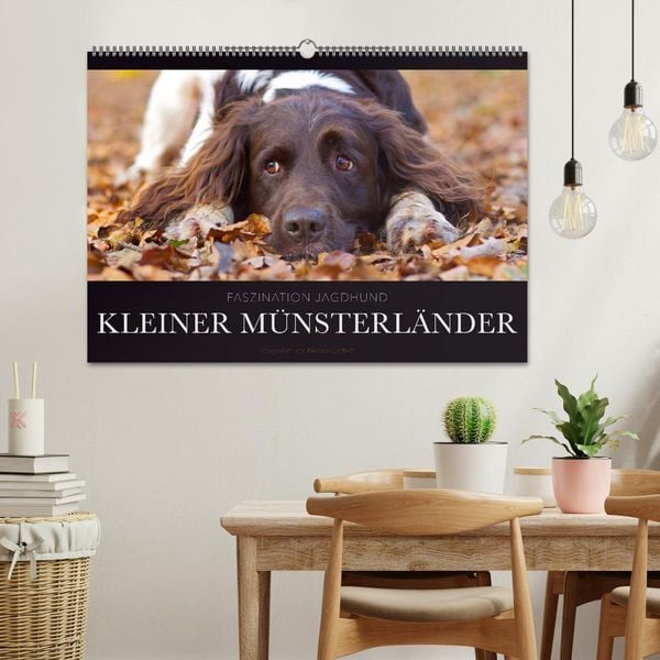 Produktbild: Faszination Jagdhund - Kleiner M&uuml;nsterl&auml;nder (Wandkalender 2026 DIN A2 quer), CALVENDO Monatskalender