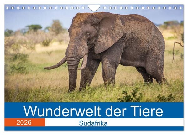 Produktbild: Wunderwelt der Tiere - S&uuml;dafrika (Wandkalender 2026 DIN A4 quer), CALVENDO Monatskalender