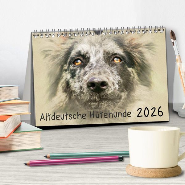 Produktbild: Altdeutsche H&uuml;tehunde 2026 (Tischkalender 2026 DIN A5 quer), CALVENDO Monatskalender