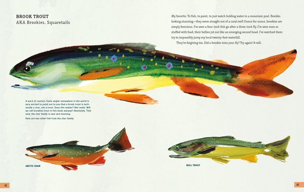 Produktbild: The Fly Fishing Book