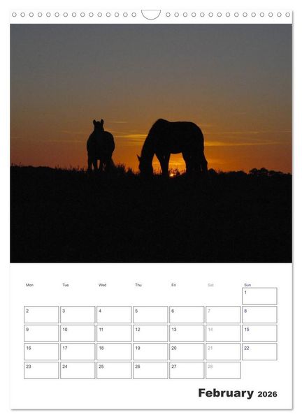 Produktbild: Shire Horses The Gentle Giants (Wall Calendar 2026 DIN A3 portrait), CALVENDO 12 Month Wall Calendar