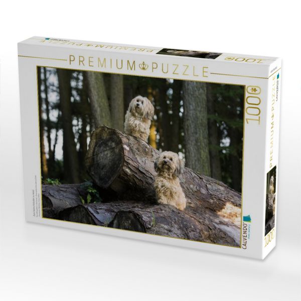 Produktbild: CALVENDO Puzzle Zwei kleine Kobolde im Wald. | 1000 Teile Lege-Gr&ouml;&szlig;e 64x48cm Foto-Puzzle f&uuml;r gl&uuml;ckliche Stunden