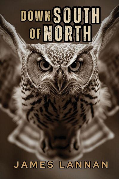 Produktbild: Down South of North