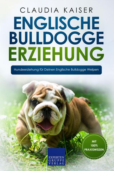 Produktbild: Englische Bulldogge Erziehung: Hundeerziehung f&uuml;r Deinen Englische Bulldogge Welpen