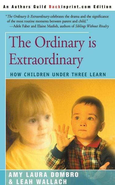 Produktbild: The Ordinary is Extraordinary