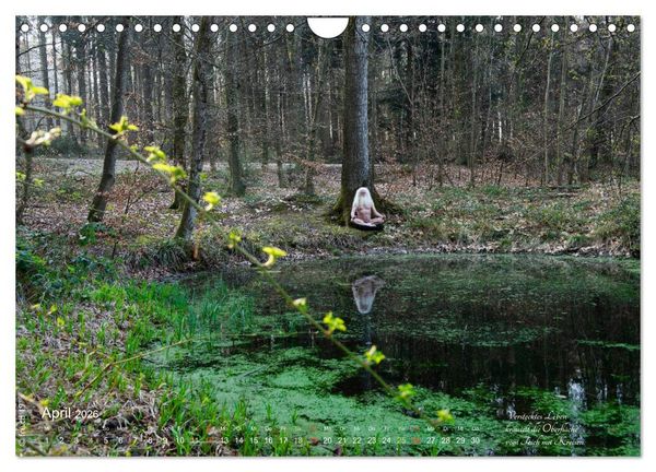 Produktbild: HAIKU AM TEICH (Wandkalender 2026 DIN A4 quer), CALVENDO Monatskalender