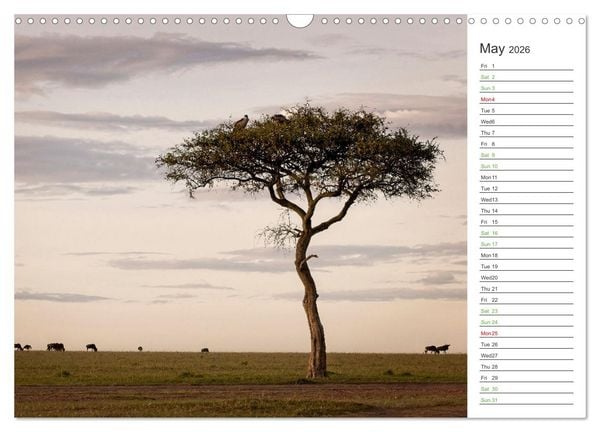 Produktbild: Kenya - its Wildlife (Wall Calendar 2026 DIN A3 landscape), CALVENDO 12 Month Wall Calendar