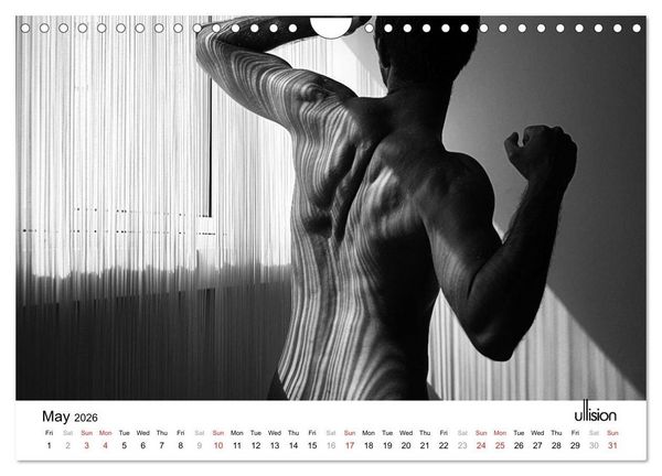 Produktbild: Male Nude Art (Wall Calendar 2026 DIN A4 landscape), CALVENDO 12 Month Wall Calendar