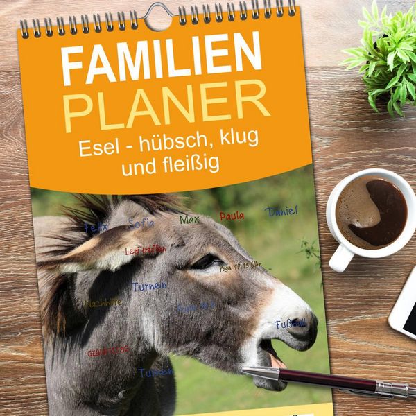 Produktbild: Familienplaner 2026 - Esel - h&uuml;bsch, klug und flei&szlig;ig mit 5 Spalten (Wandkalender, 21 x 45 cm) CALVENDO