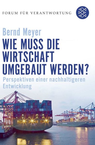 Produktbild: Wie muss die Wirtschaft umgebaut werden?