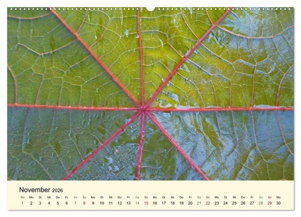 Produktbild: Kraftquelle Gr&uuml;n (hochwertiger Premium Wandkalender 2026 DIN A2 quer), Kunstdruck in Hochglanz
