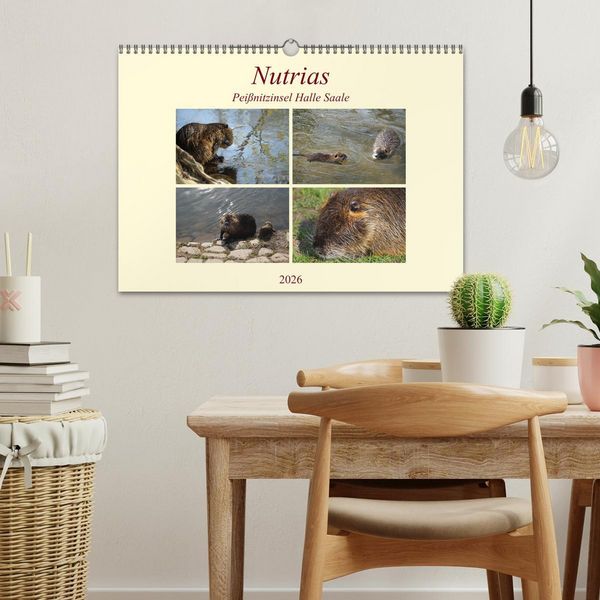 Produktbild: Nutrias Pei&szlig;nitzinsel Halle Saale (Wandkalender 2026 DIN A3 quer), CALVENDO Monatskalender