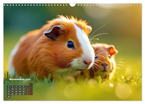Produktbild: S&uuml;&szlig;e Meerschweinchen (Wandkalender 2026 DIN A3 quer), CALVENDO Monatskalender