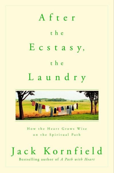 Produktbild: After the Ecstasy, the Laundry
